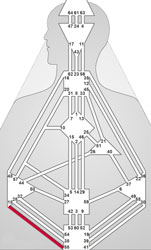 Human Design Kanal 18-58
