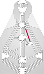 Human Design Kanal 21-45