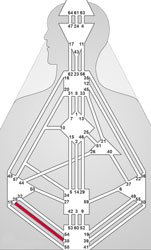 Human Design Kanal 28-38