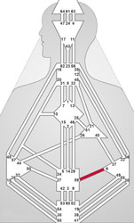Human Design Kanal 6-59